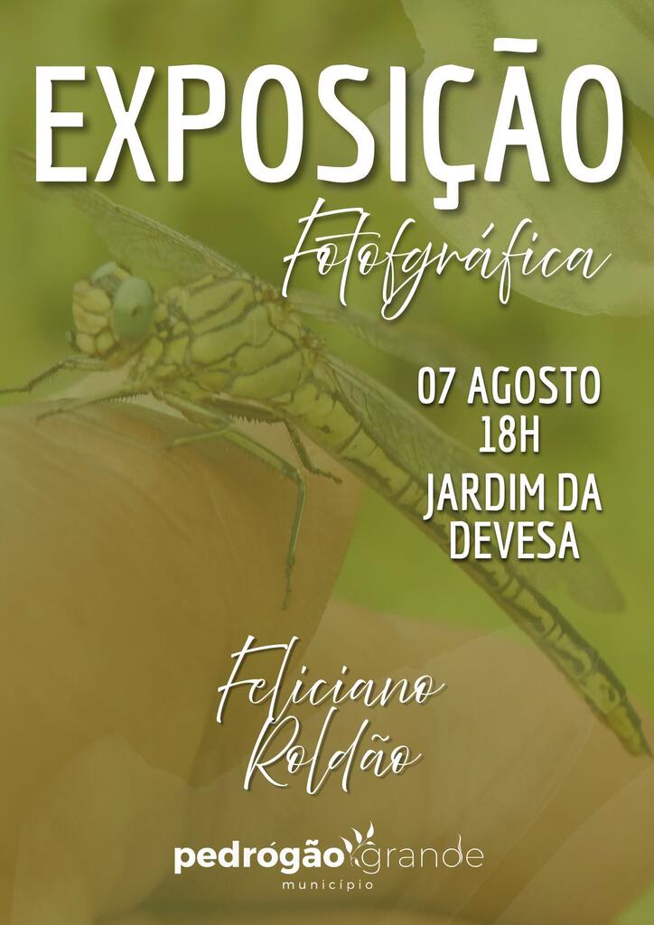 exposicao_feliciano